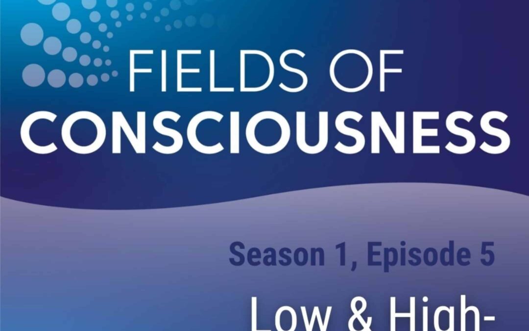Ep 5: Low & High Consciousness Fields